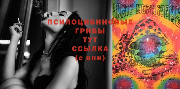 твердый Алексин