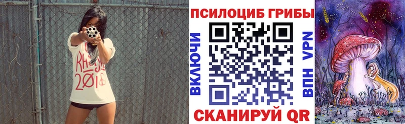 OMG сайт  Уяр  Псилоцибиновые грибы Psilocybine cubensis  сколько стоит 
